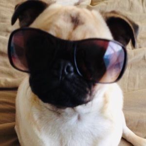 Meet your Posher, Leanne